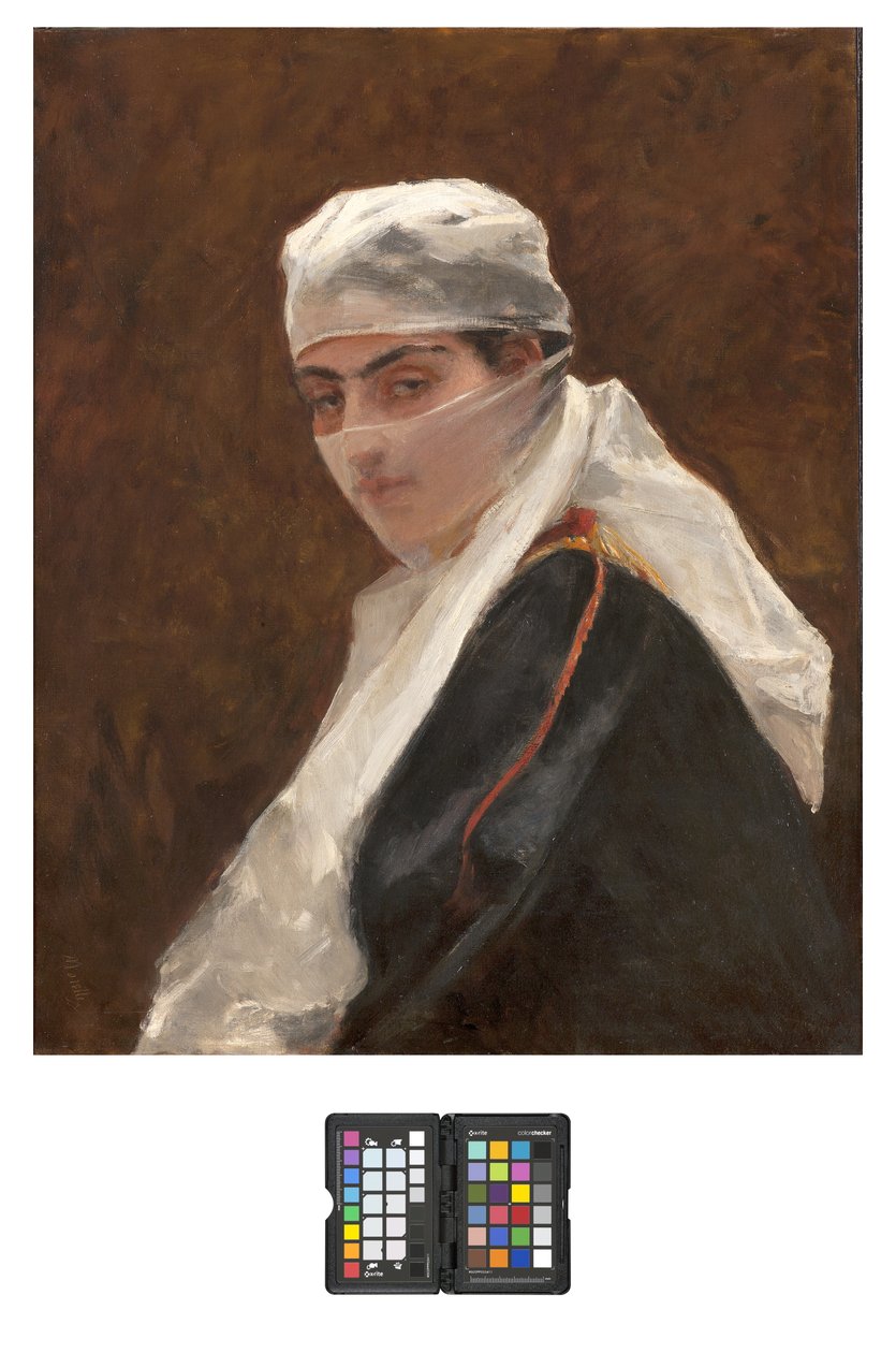 Odalisque，1870-73 作者 多梅尼科·莫雷利（Domenico Morelli）