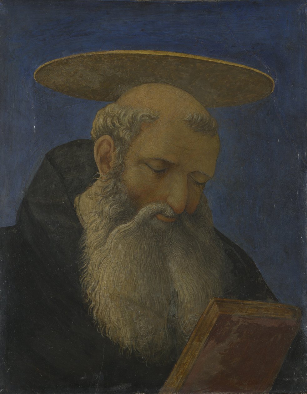 卡内塞基会幕中的一位长着胡子的圣徒的头，c。 1440 作者 多梅尼科（Domenico Veneziano）