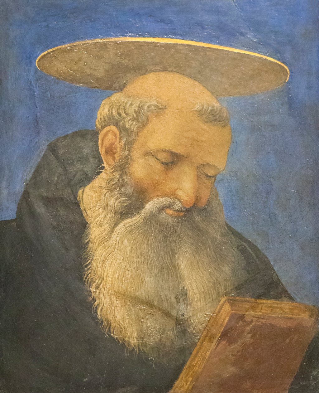 剃发、留胡须的圣人头像，c.1440-44（木头上蛋彩画） 作者 多梅尼科（Domenico Veneziano）