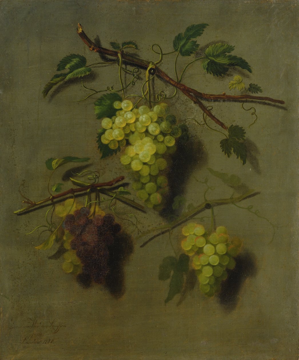 静物，1738年 作者 多米尼库斯·范德·史密森