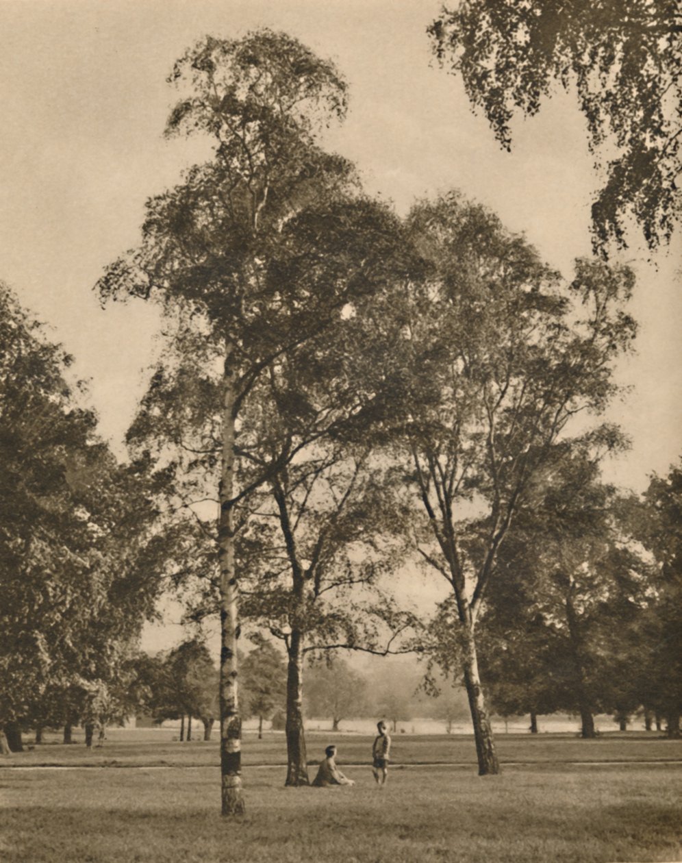 叶子的花边工作：一个夏日早晨，海德公园，c1935年。 作者 唐纳德·麦克利什