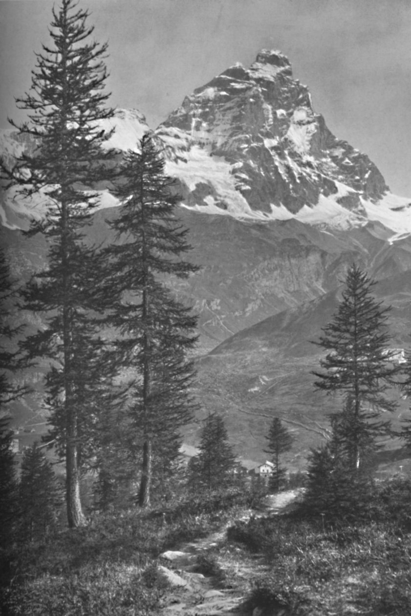 意大利一侧的马特洪峰，布鲁尔森林，1917年 作者 唐纳德·麦克利什