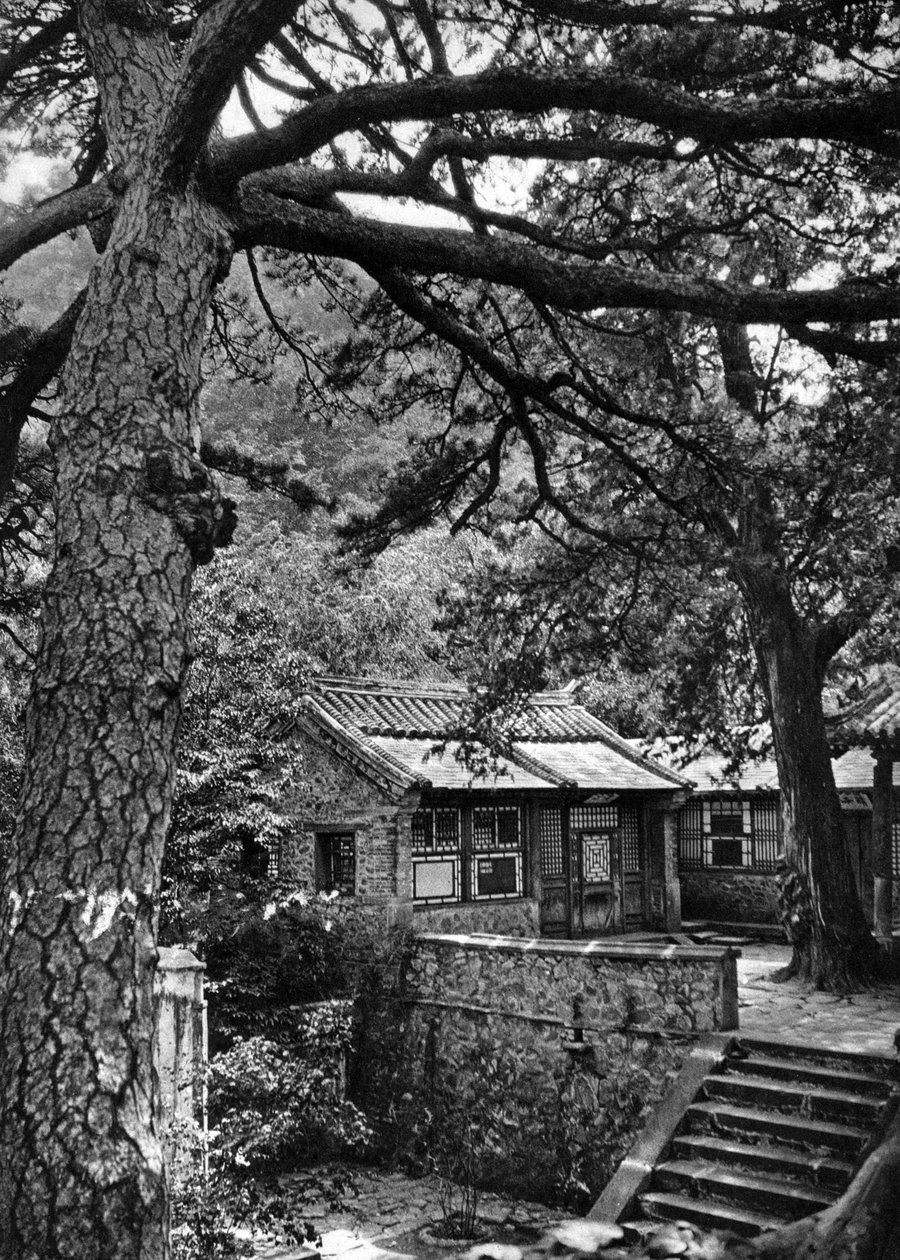 北京市海淀区西山 作者 唐纳德·门尼