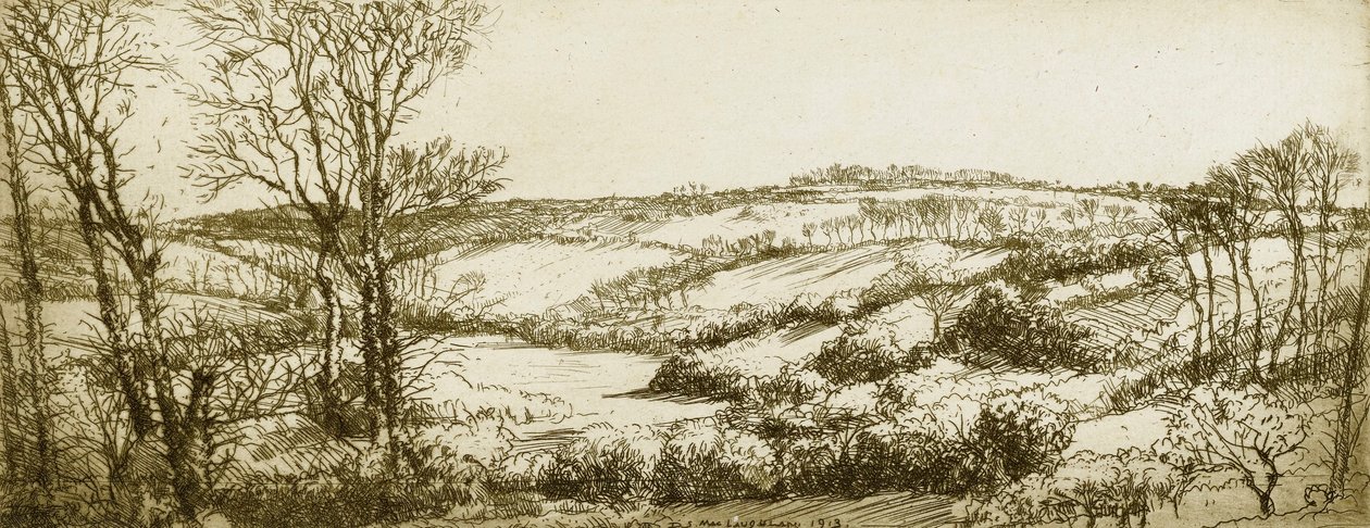Cornish Landscape no.1 作者 唐纳德·肖·麦克劳伦
