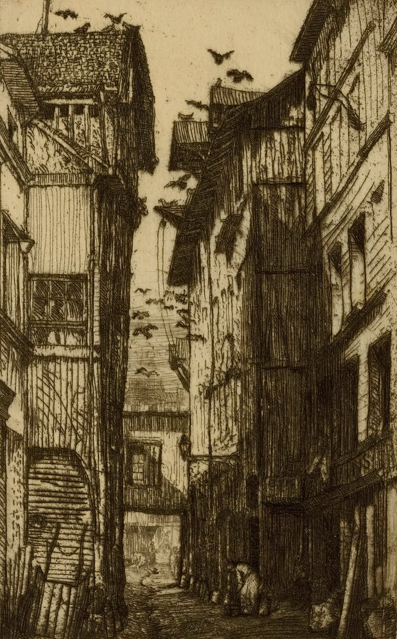 鸽子路，鲁昂 作者 唐纳德·肖·麦克劳伦