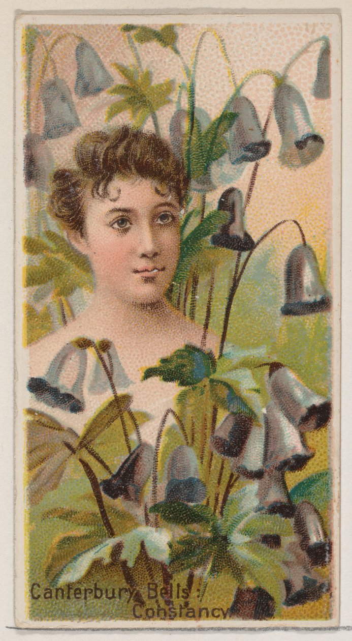 坎特伯雷钟声：Constancy，出自《花之美和花之语》系列N75...，1892年。 作者 唐纳森兄弟