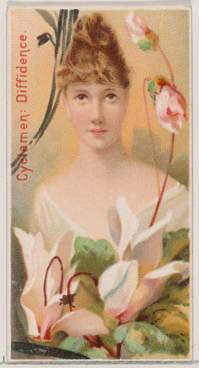 仙客来：Diffidence》，出自《花之美》和《花之语》系列N75，为杜...，1892年。 作者 唐纳森兄弟