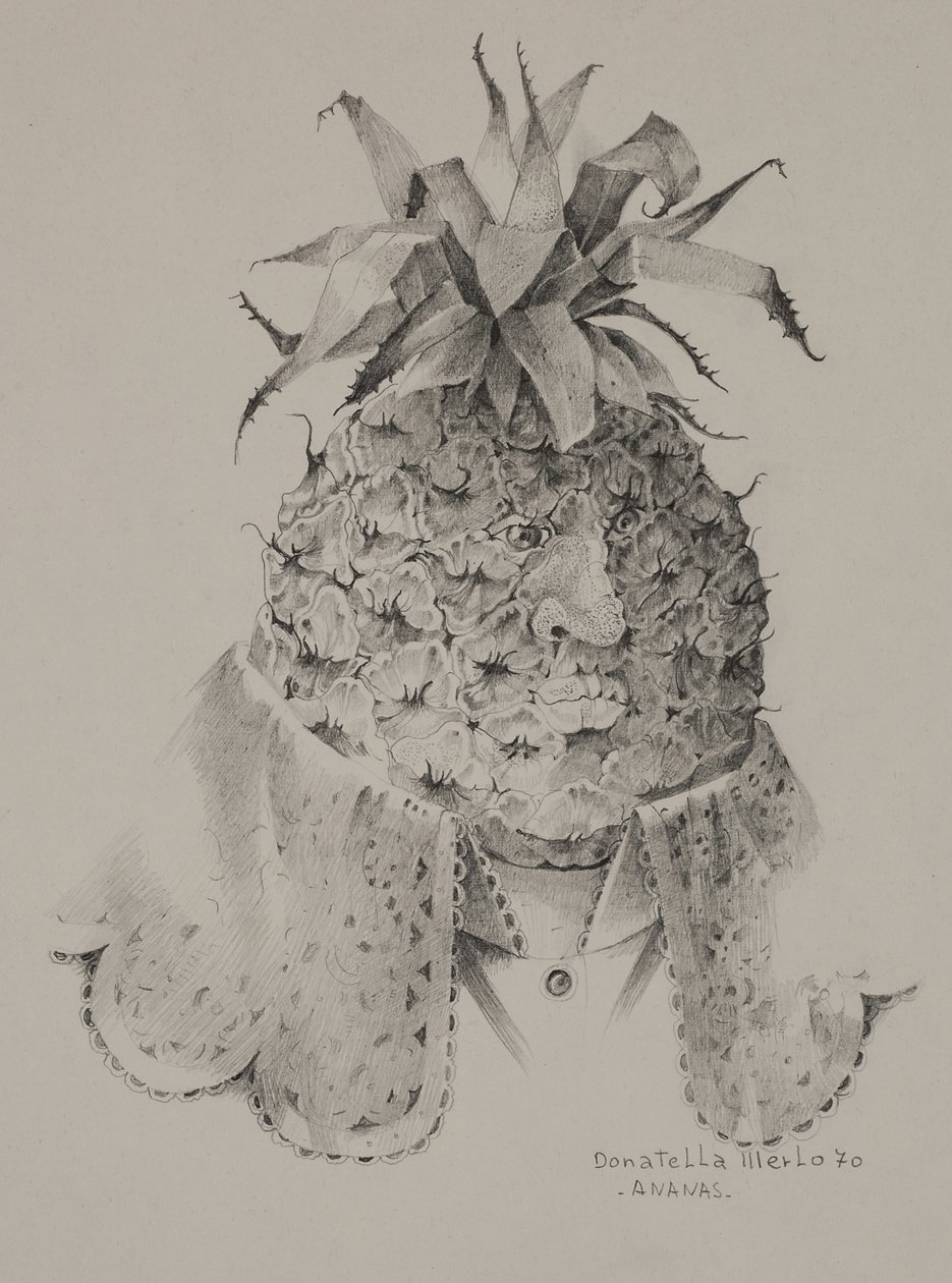 菠萝 作者 多纳泰拉·梅洛