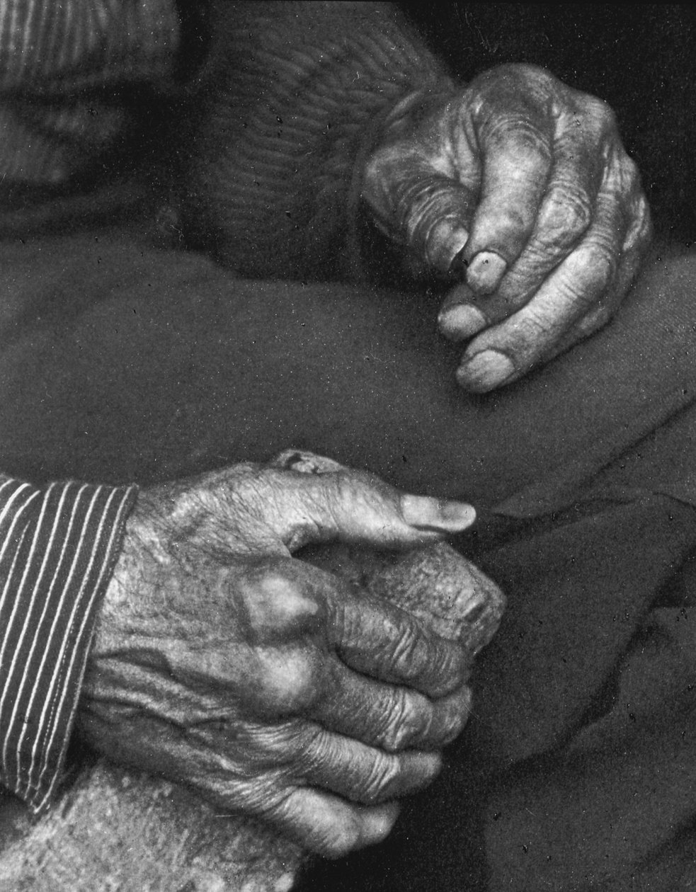 劳动者的手，1925年 作者 多丽丝·乌尔曼（Doris Ulmann）