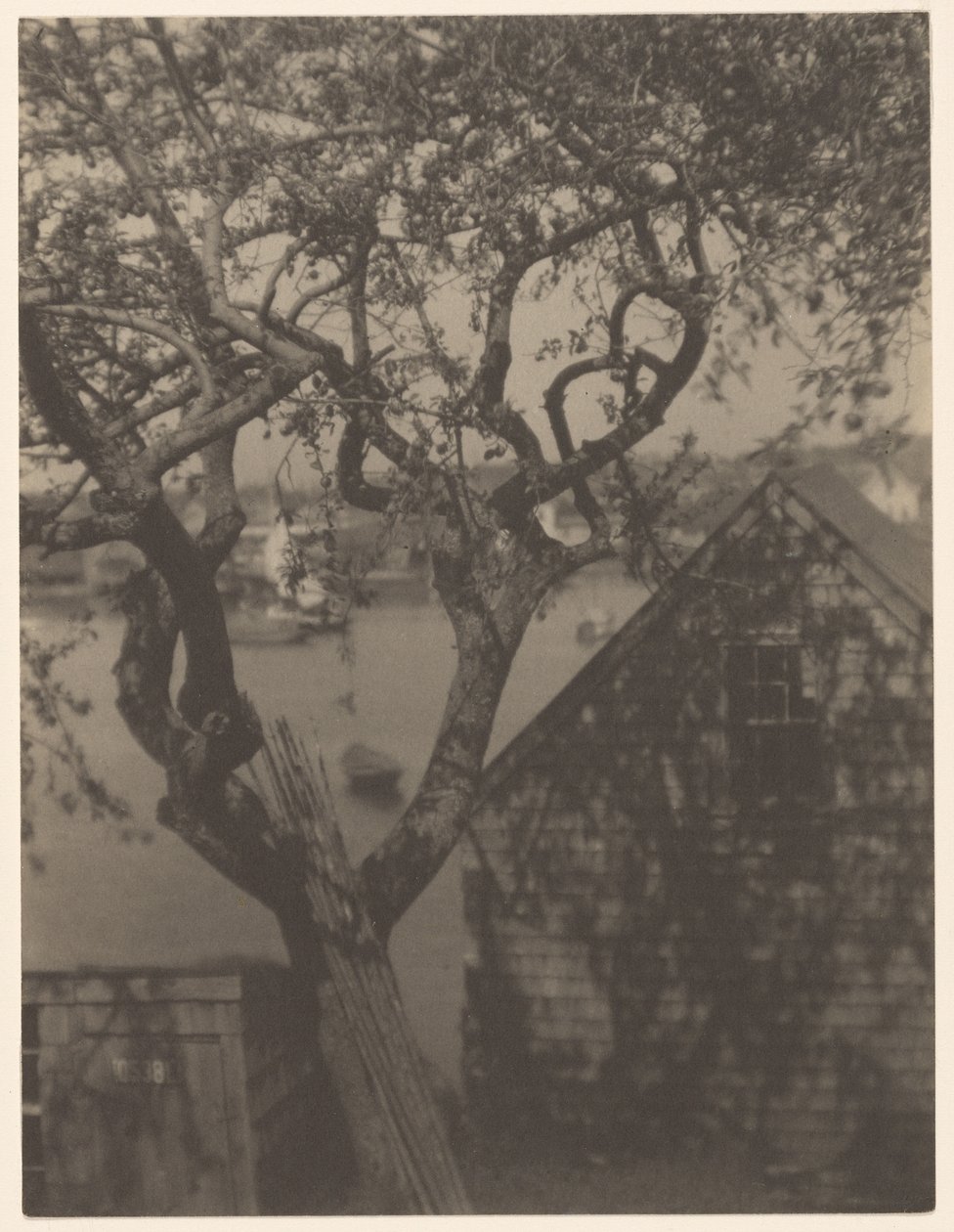 港口场景，可能是马萨诸塞州格洛斯特市 作者 多丽丝·乌尔曼（Doris Ulmann）