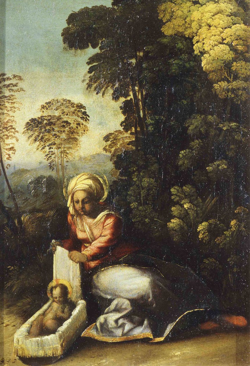 麦当娜（Madonna）和孩子拉·辛加雷拉（La La Zingarella），c。 1513 作者 多索·多西