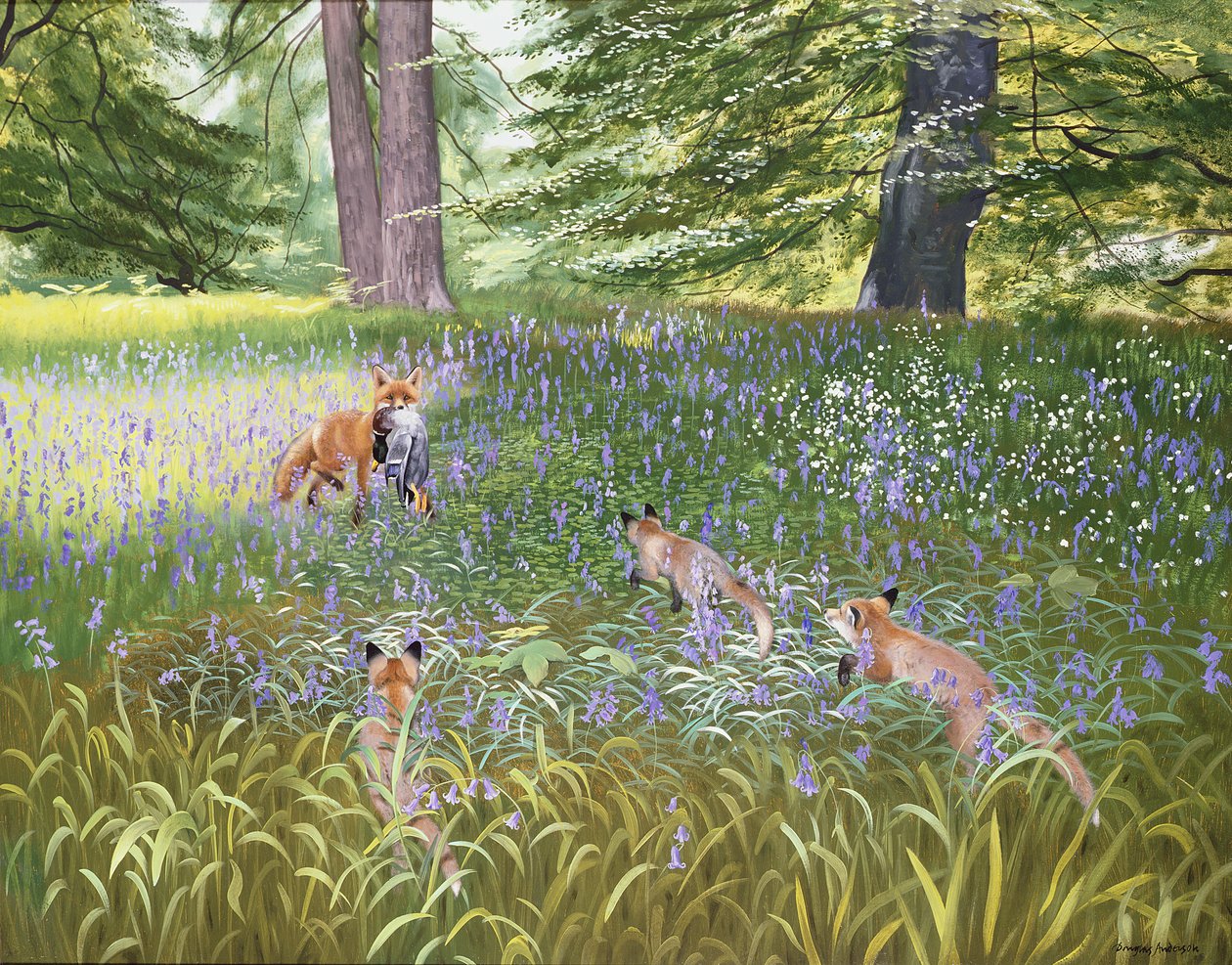 蓝花狐狸 作者 道格拉斯·安德森