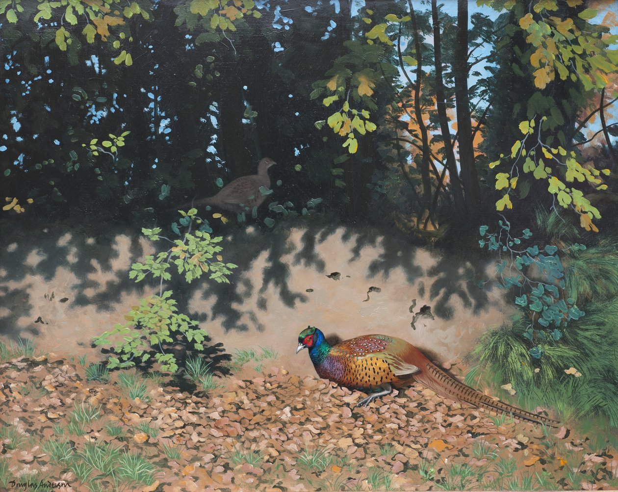 秋阳下的野鸡，2000 年（木板油画） 作者 道格拉斯·安德森