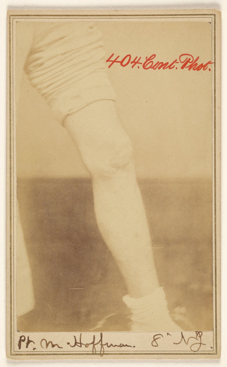 M. Hoffman，8
