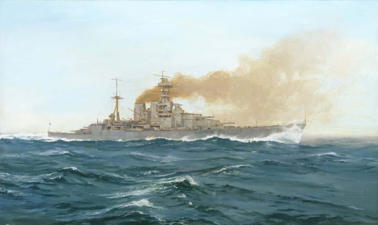 HMS Hood，1919 作者 达芙疯狂