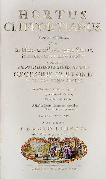 Hortus Cliffortianus的标题页由Carl Linnaeus（1707-78）阿姆斯特丹，1737年（打印） 作者 荷兰学校