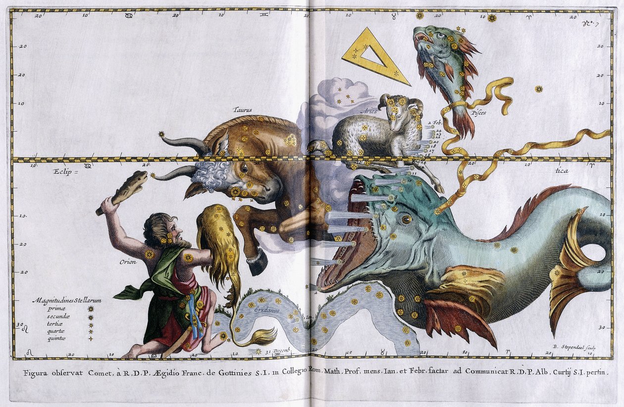 星座的天体图：猎户座，金牛座，白羊座和双鱼座，1666-1668年 作者 荷兰学校