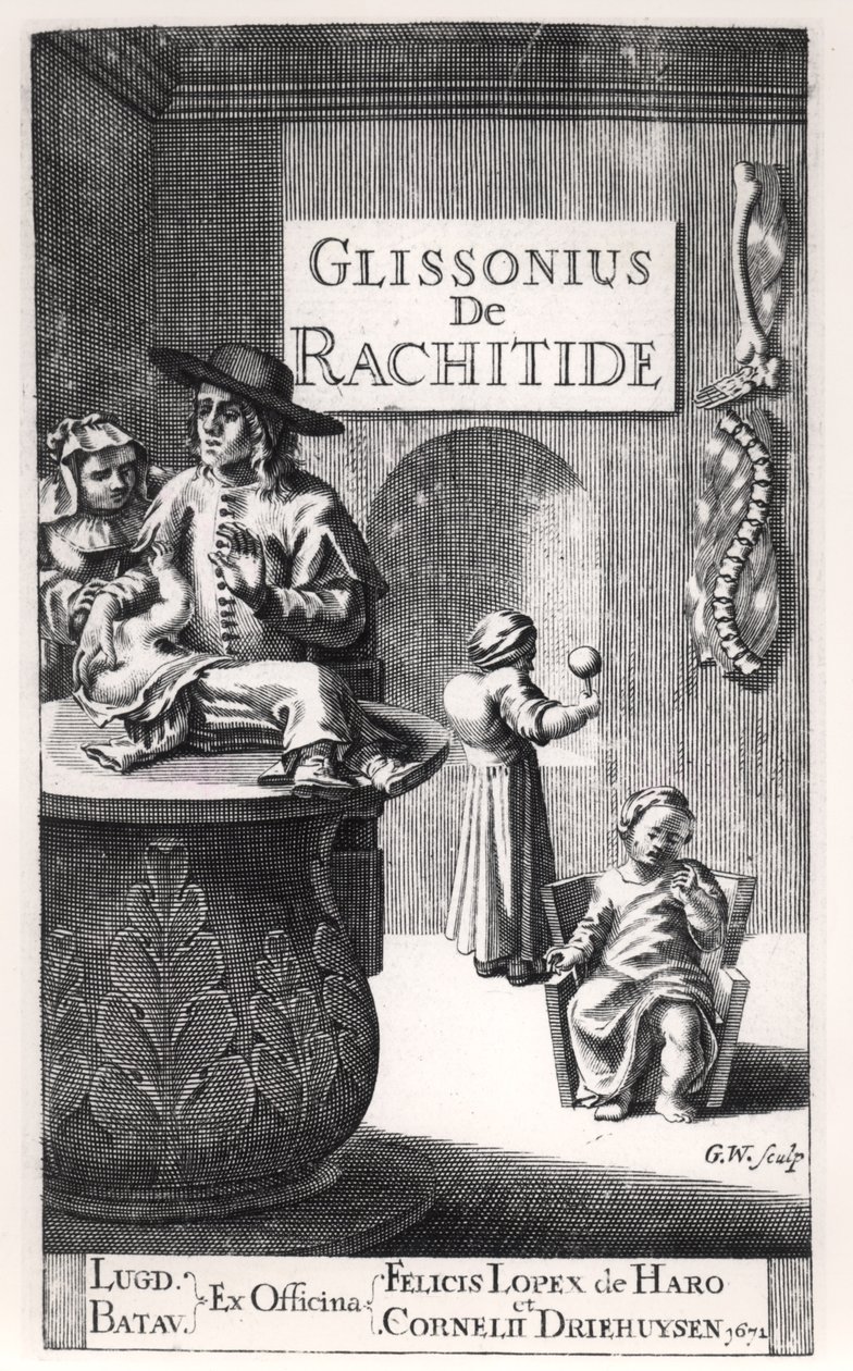 Francis Glisson（1597-1677）于1671年在莱顿出版 作者 荷兰学校