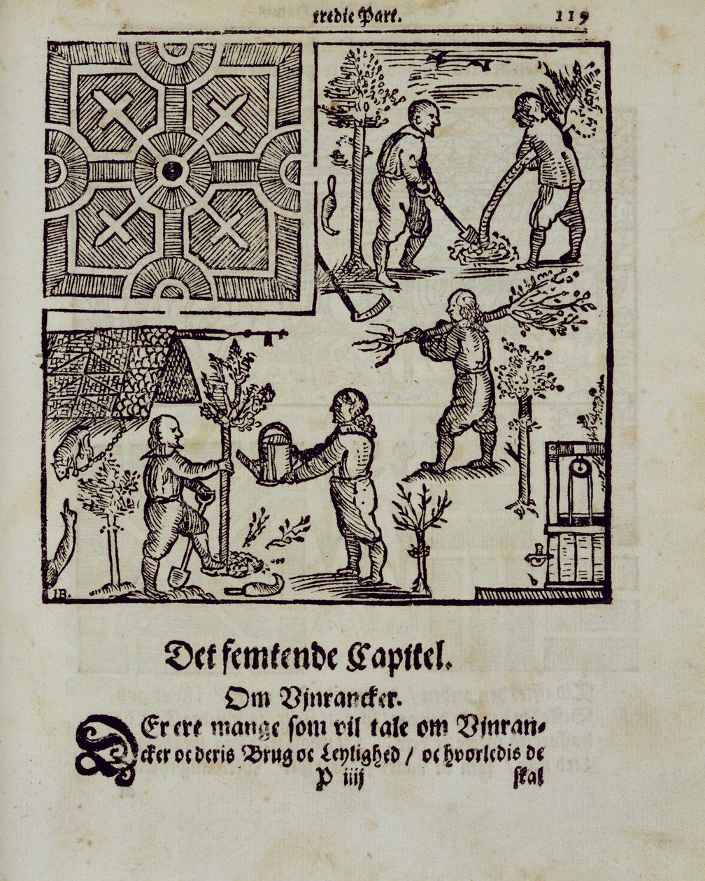 种植树木，由荷兰园丁Johann van der Groen于1699年出版 作者 荷兰学校