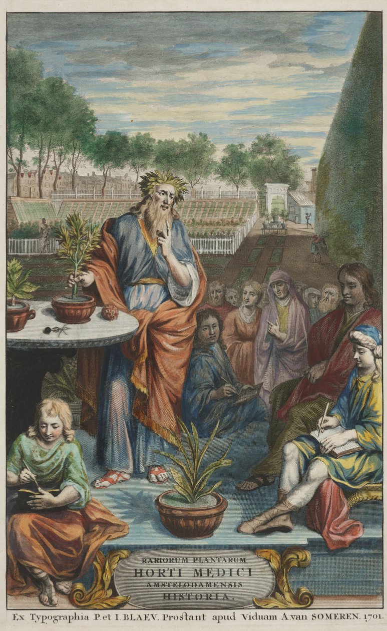 Jan Commelin 和 Caspar Commelin 著《Horti Medici Amstelodamensis Rariorum Plantarum Historia》第二卷扉页 作者 荷兰学校