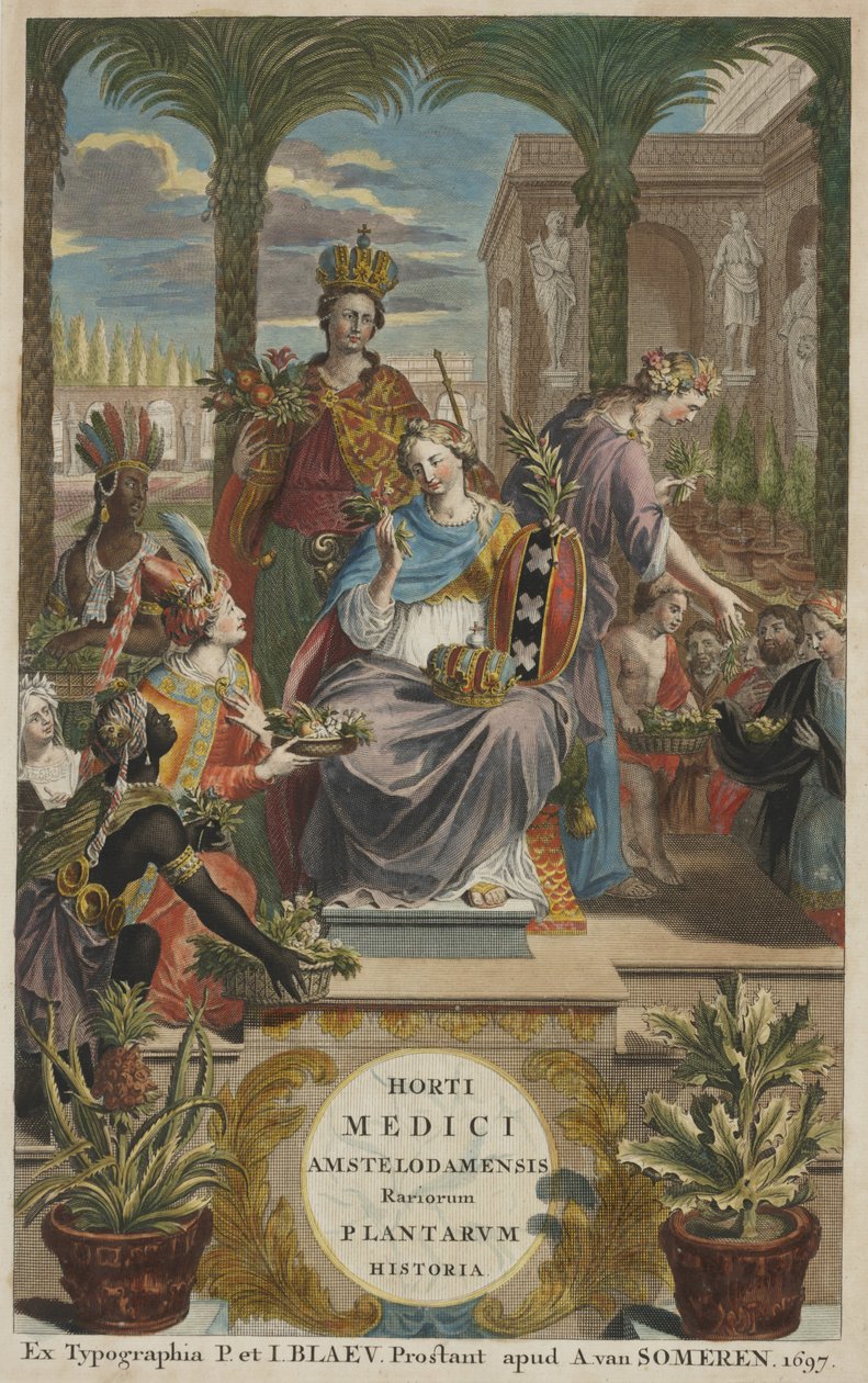 Jan Commelin 所著《Horti Medici Amstelodamensis Rariorum Plantarum Historia》第一卷扉页 作者 荷兰学校