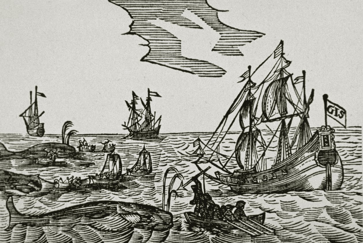 捕鲸船，来自 Jacob Segersz van der Brugge 的“Journael” 作者 荷兰学校