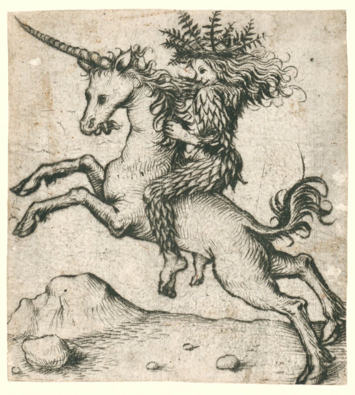 Wildman on a unicorn 作者 荷兰学校