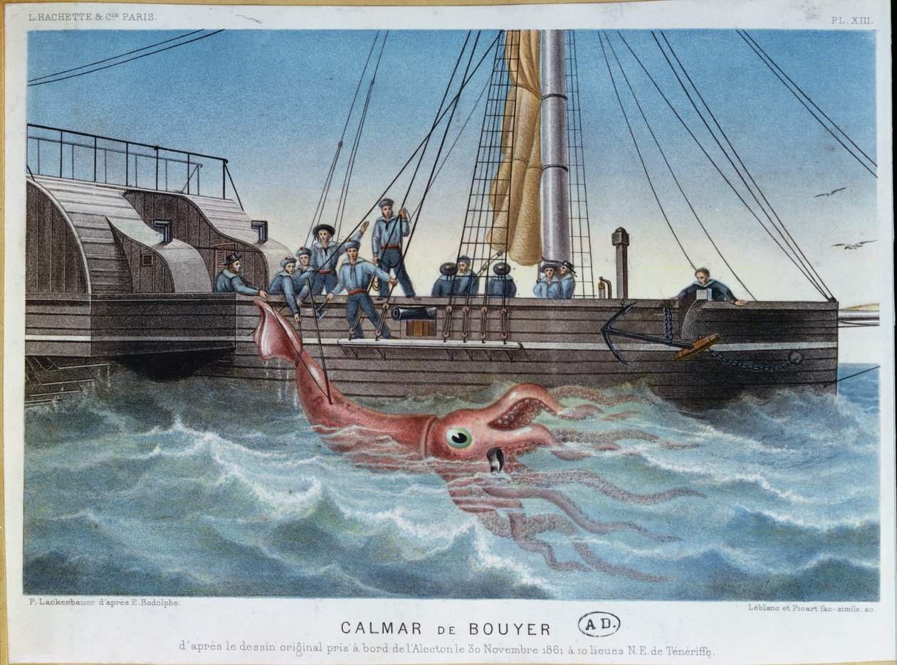 1861年11月30日，特内里费岛海岸Alecton捕获的巨型鱿鱼，由Leblanc＆Picart雕刻 作者 罗道夫
