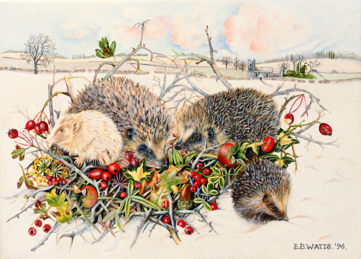 1996年Hedgerow篮子里的刺猬（丙烯画布） 作者 EB瓦特