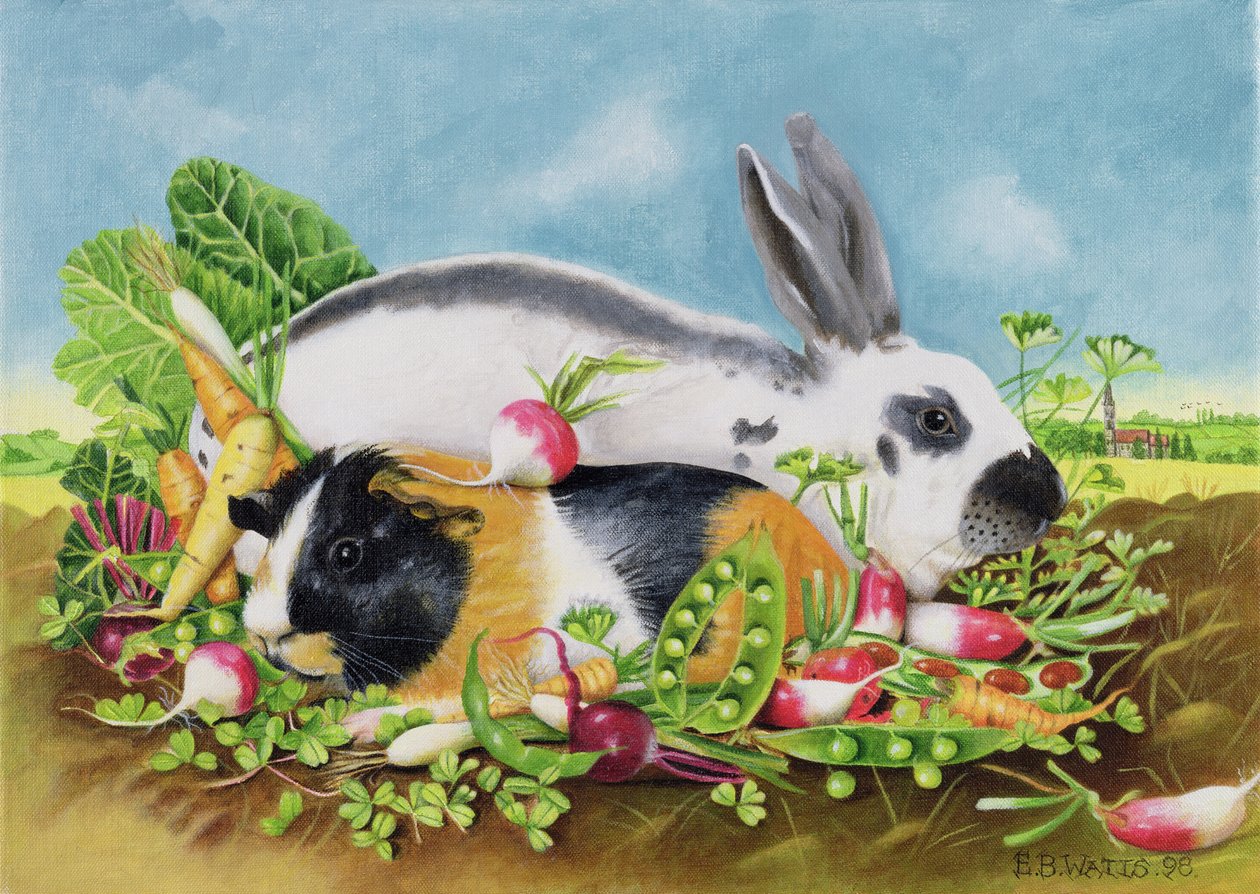 兔子和豚鼠，1998年（画布上的丙烯酸） 作者 EB瓦特