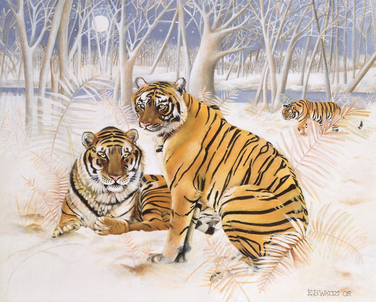 雪中的老虎，2005年（画布上的丙烯酸） 作者 EB瓦特