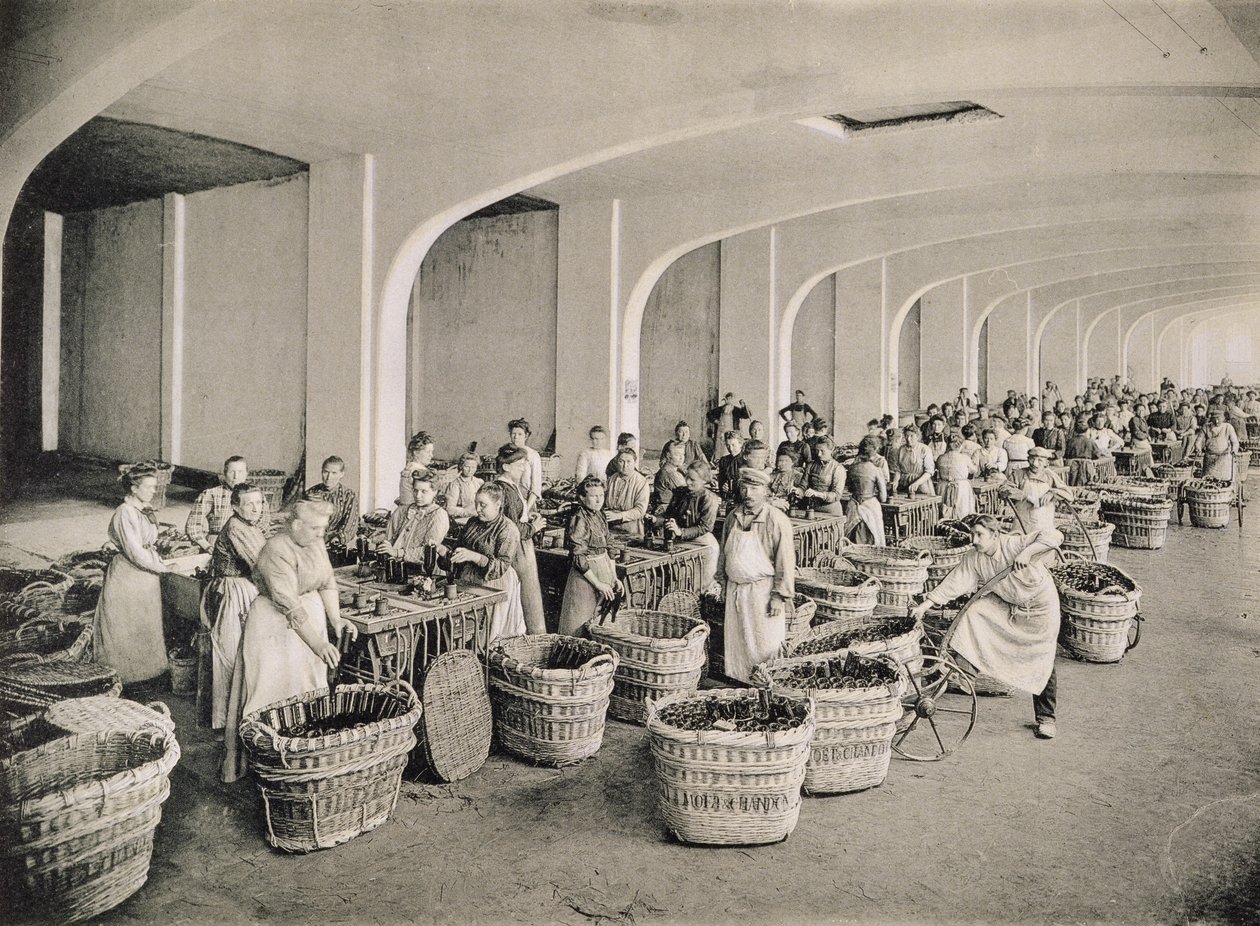 冲洗瓶子，由Moet und Chandon，Epernay（photolitho）出版的“La France Vinicole”冲洗瓶子 作者 EM Choque