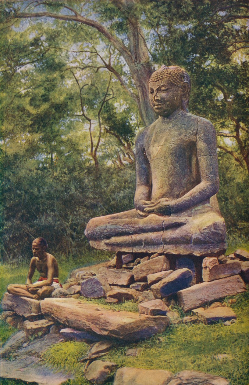 锡兰...，c1920 作者 ENA