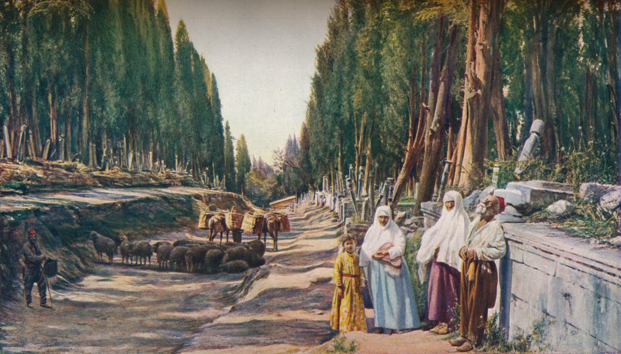 君士坦丁堡，c1930s 作者 ENA