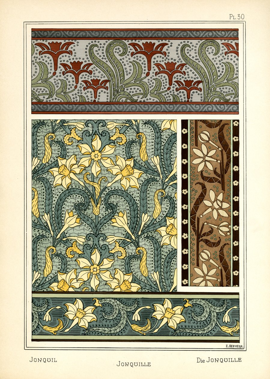 Jonquil 作者 赫维