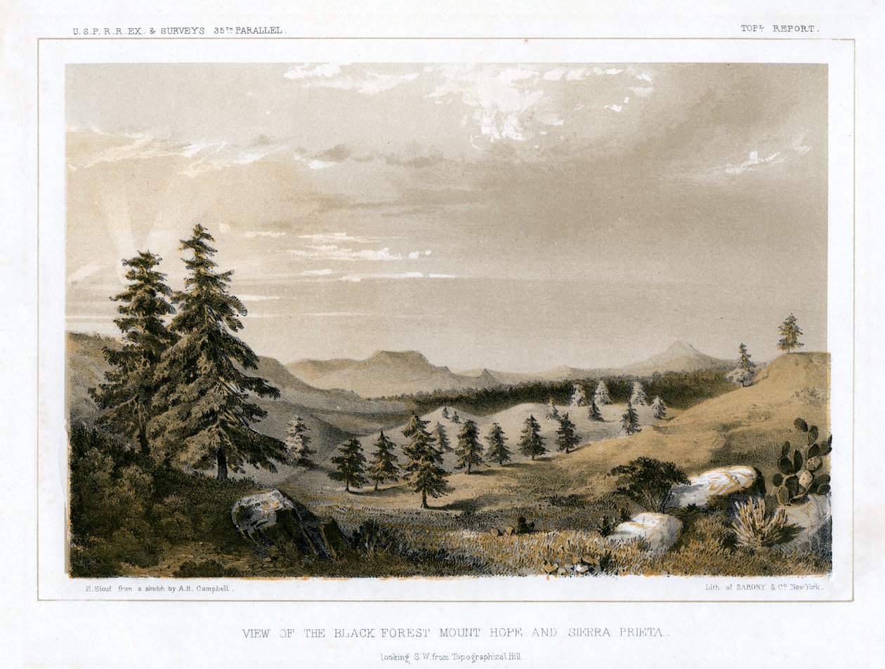 黑森林希望山和普里塔山，美国，1856年。 作者 粗壮