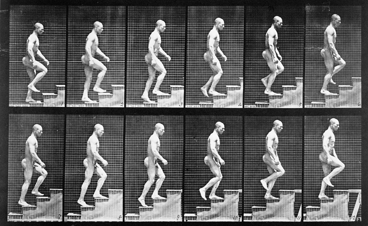 男人上楼梯，来自&39;动物运动&39;，1887年 作者 爱德沃德·迈布里奇