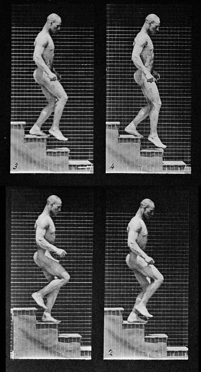 人类下楼梯，来自&39;动物运动&39;，1887年（细节425605） 作者 爱德沃德·迈布里奇