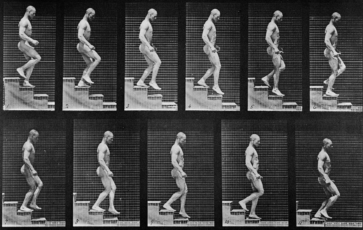 人类下楼梯，来自&39;动物运动&39;，1887年 作者 爱德沃德·迈布里奇