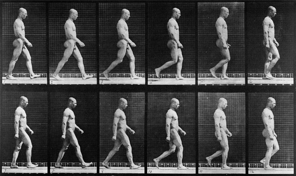 人走路，来自&39;动物运动&39;，1887年 作者 爱德沃德·迈布里奇