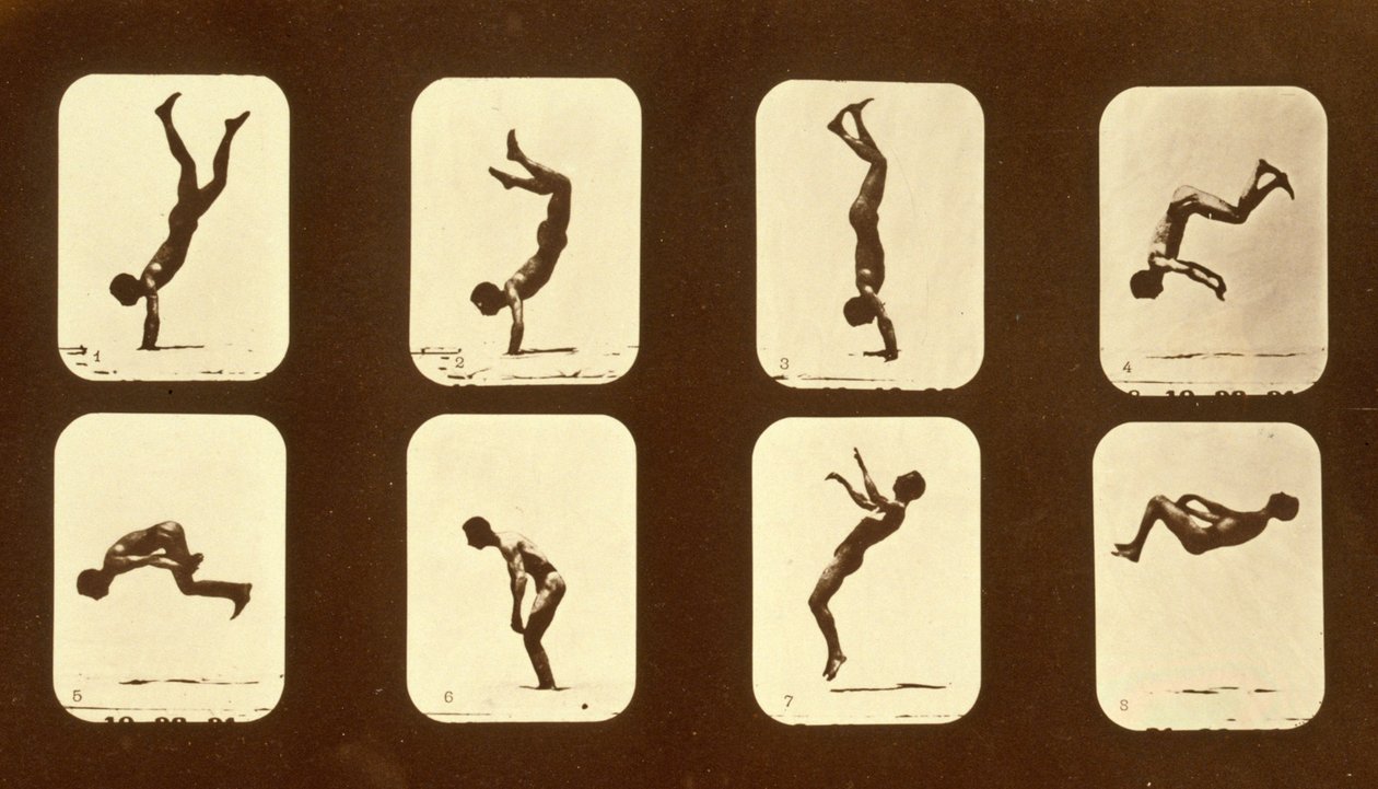 运动员。来自&39;动物运动&39;系列的不规则，c.1881 作者 爱德沃德·迈布里奇