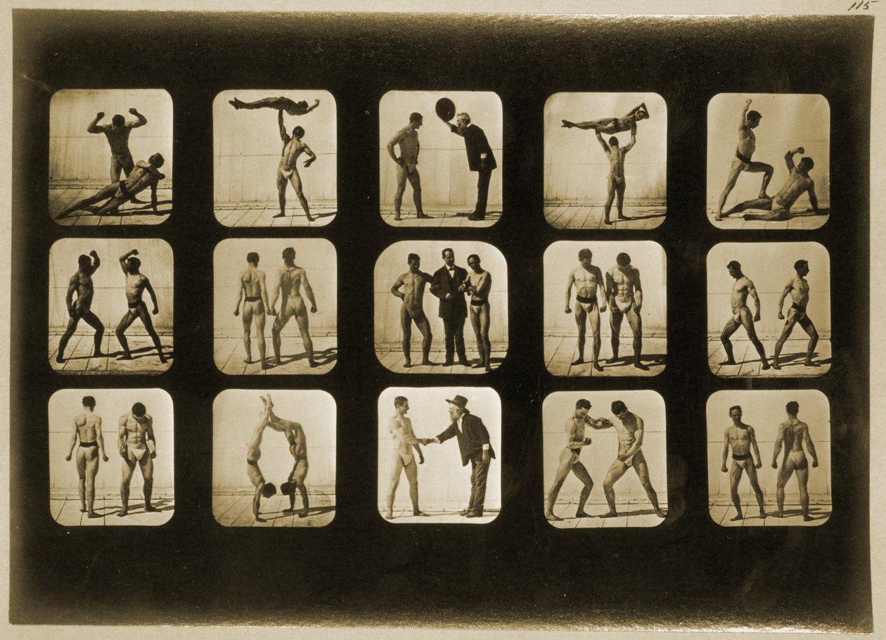 运动员摆姿势，来自&39;动物运动&39;系列，c.1881 作者 爱德沃德·迈布里奇