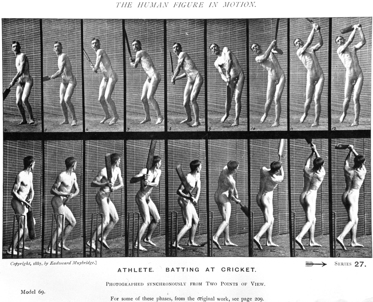 板球运动员，来自&39;动物运动&39;，1887年 作者 爱德沃德·迈布里奇
