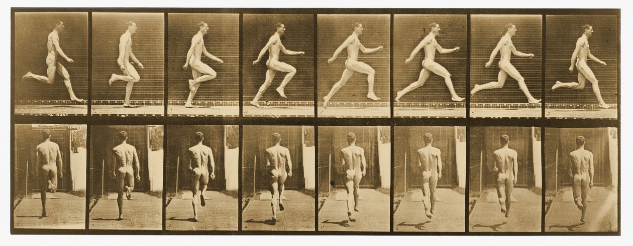 图片来自&39;Animal Locomotion&39;系列，c.1887 作者 爱德沃德·迈布里奇