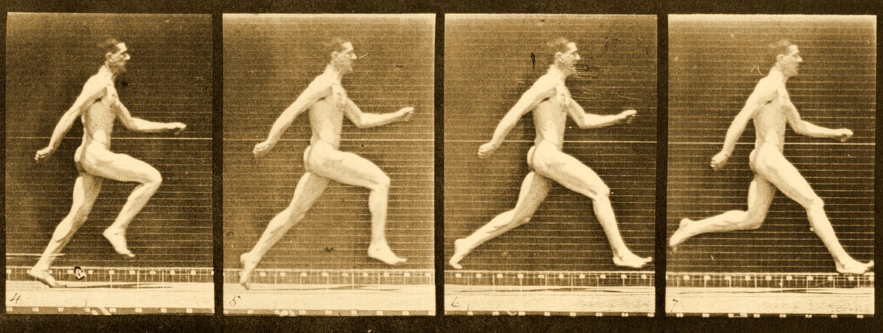 来自&39;Animal Locomotion&39;系列的图像序列，c.1887 作者 爱德沃德·迈布里奇