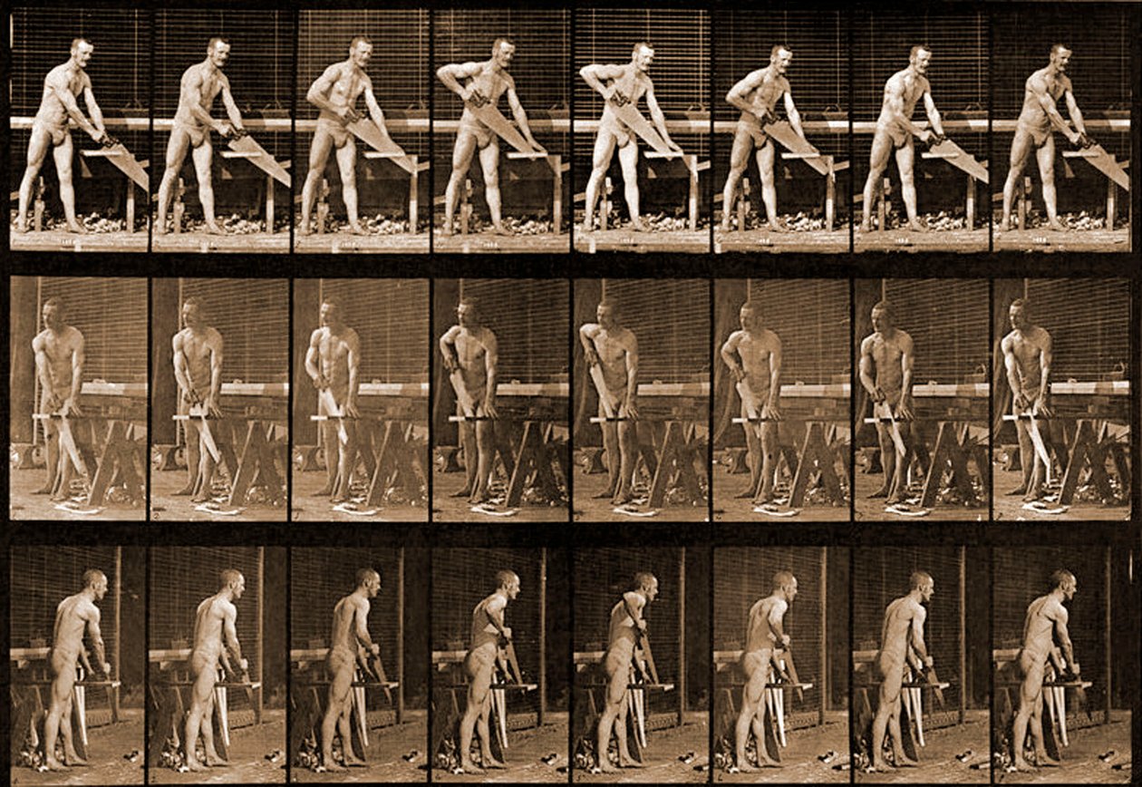 男子用&39;动物运动&39;系列锯，c.1881 作者 爱德沃德·迈布里奇