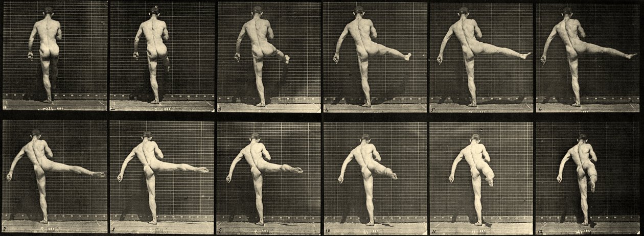 裸体男芭蕾舞演员，第一芭蕾舞动作，右腿抬起（板块369）c.1887 作者 爱德沃德·迈布里奇