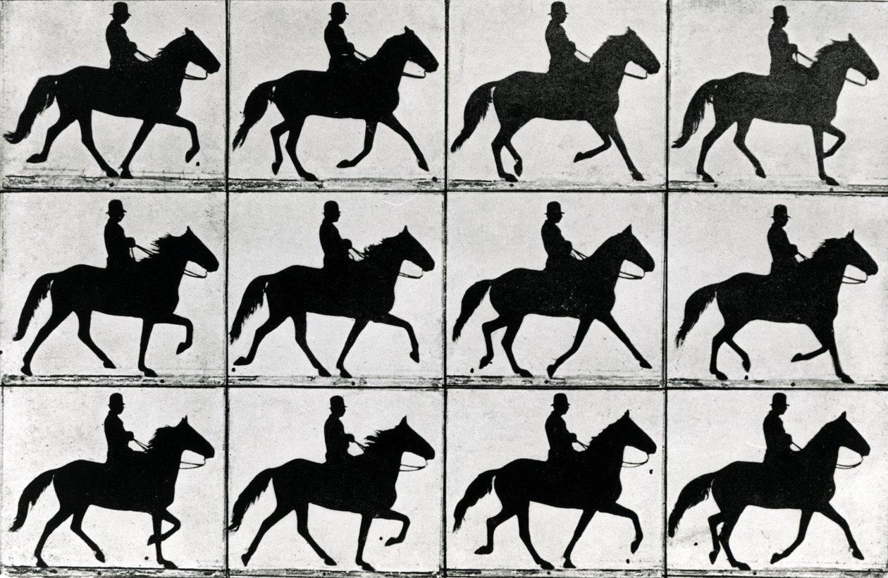 1901年的十一阶段的一步，Eadweard Muybridge的“动物在动画”中的插图，1907年版 作者 爱德沃德·迈布里奇