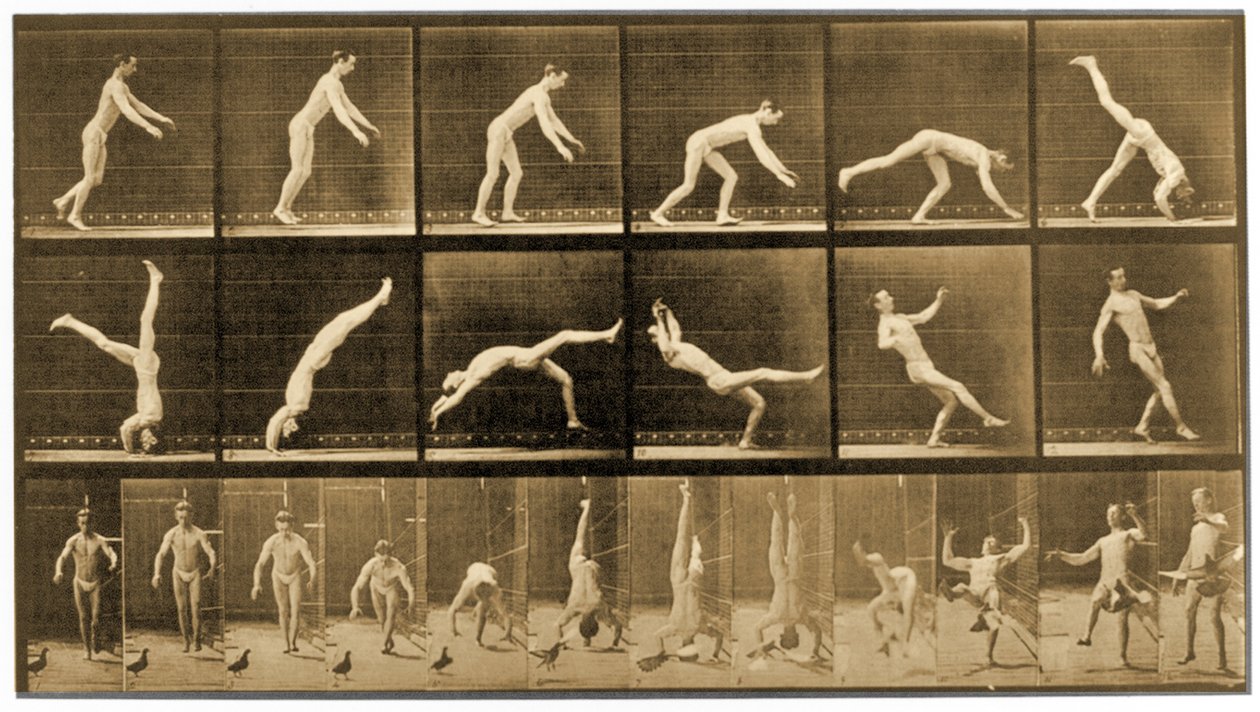 来自&39;Animal Locomotion&39;系列的板块，c.1887 作者 爱德沃德·迈布里奇