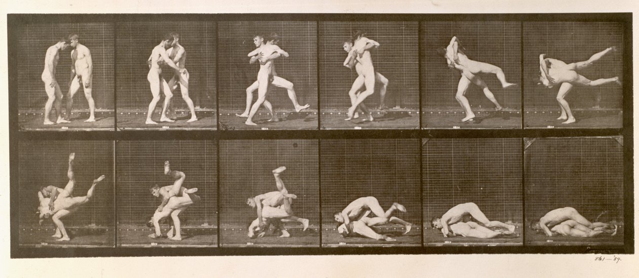 两名男子摔跤，1887年来自&39;动物运动&39;的板块347 作者 爱德沃德·迈布里奇